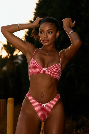 Beachside Bikini Top Red Gingham