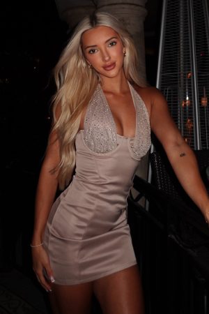 Sweet Talk Embellished Mini Dress Dark Nude